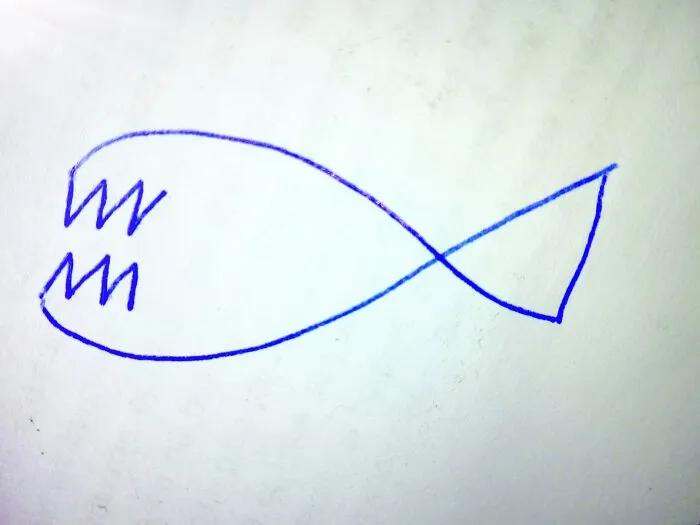 This Is Killian The Killer Whale