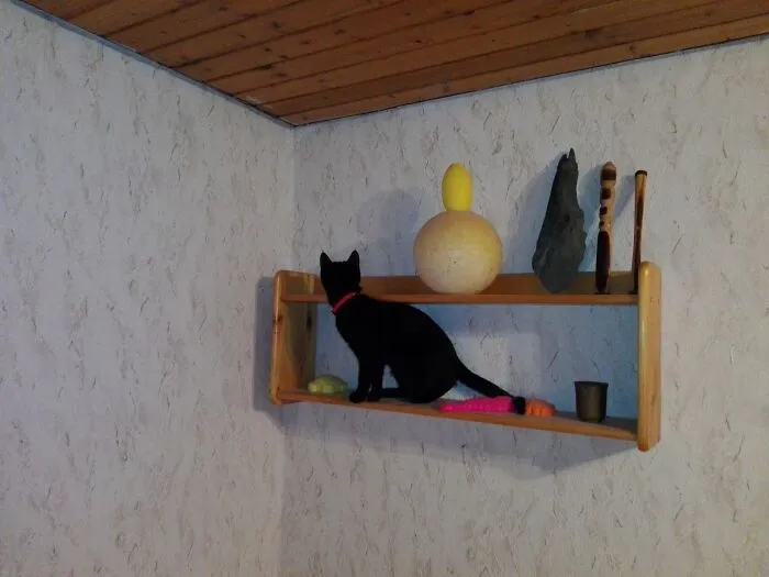 Got Lost On A Shelf With No Way Down