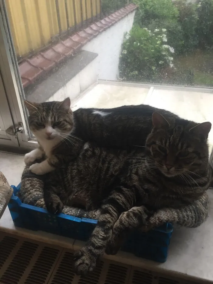 It's Not Even The Best Spot!