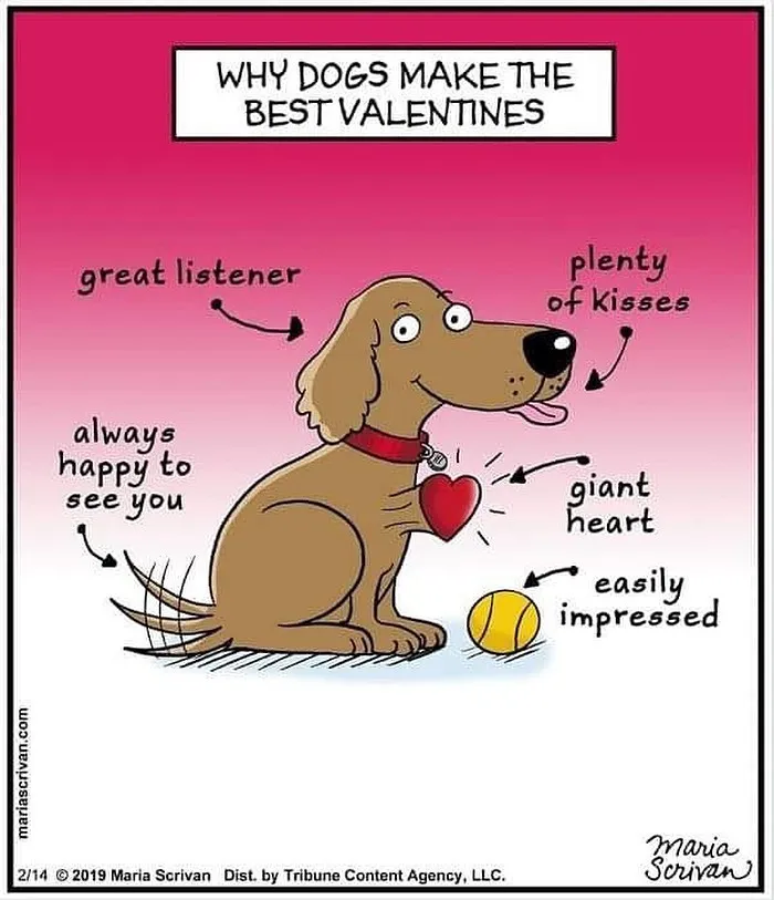 30 Comics That Tell The Joke In A Single Panel Made By This Artist
