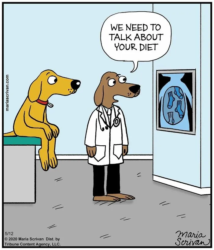 30 Comics That Tell The Joke In A Single Panel Made By This Artist