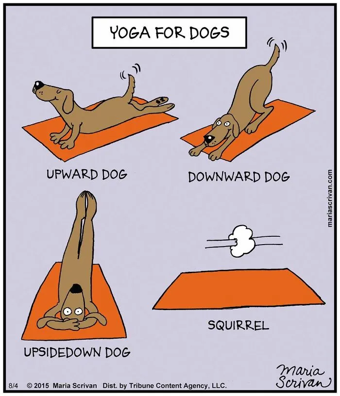 30 Comics That Tell The Joke In A Single Panel Made By This Artist
