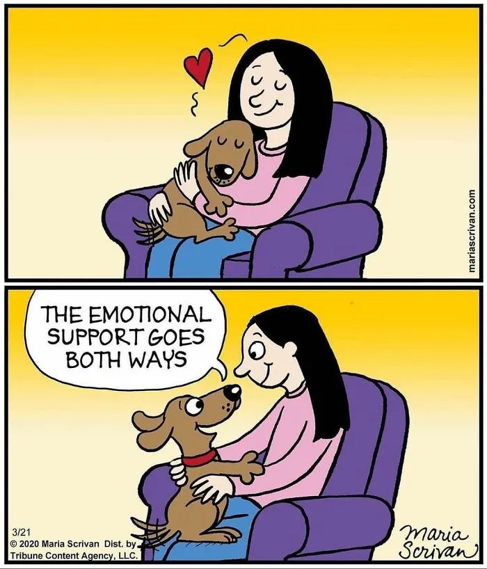 30 Comics That Tell The Joke In A Single Panel Made By This Artist