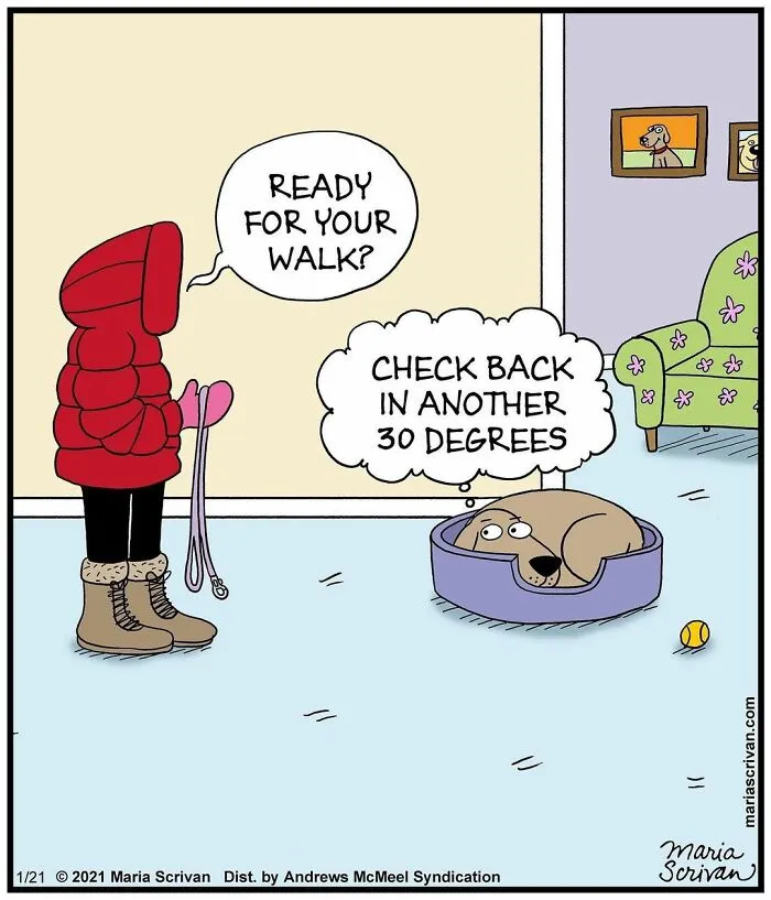 30 Comics That Tell The Joke In A Single Panel Made By This Artist