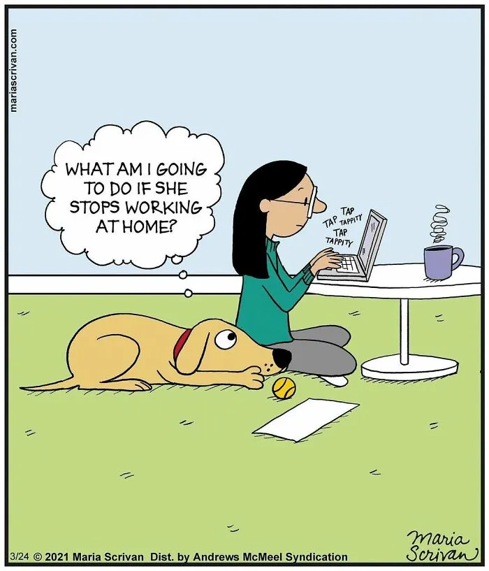 30 Comics That Tell The Joke In A Single Panel Made By This Artist