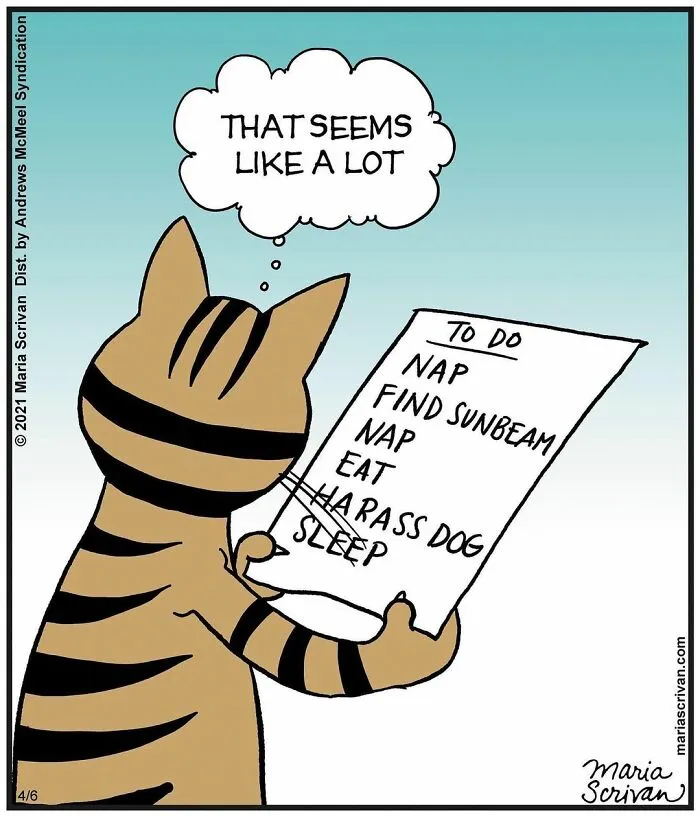 30 Comics That Tell The Joke In A Single Panel Made By This Artist