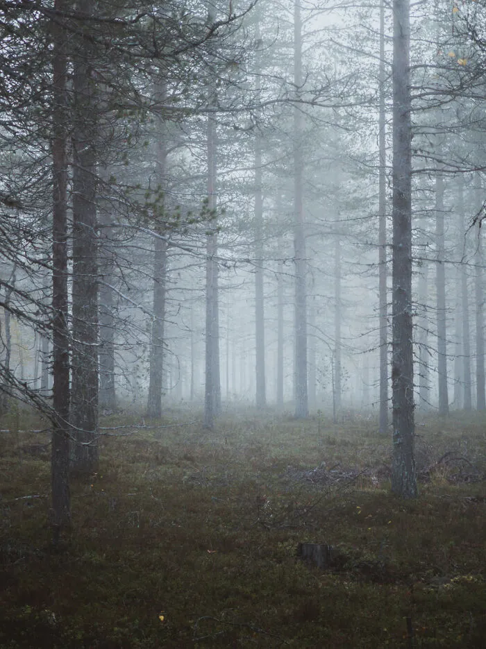 Here Are 34 Eerily Beautiful Liminal Spaces I Captured (34 Pics)