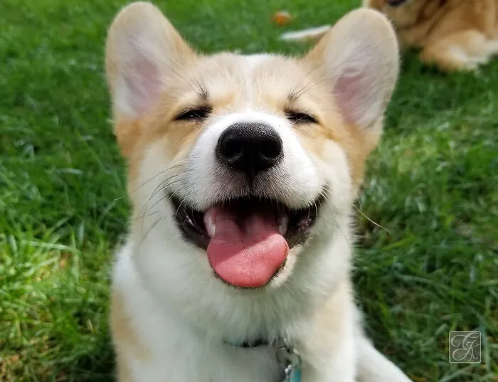 My Lizzy When She Was 14 Months Old!