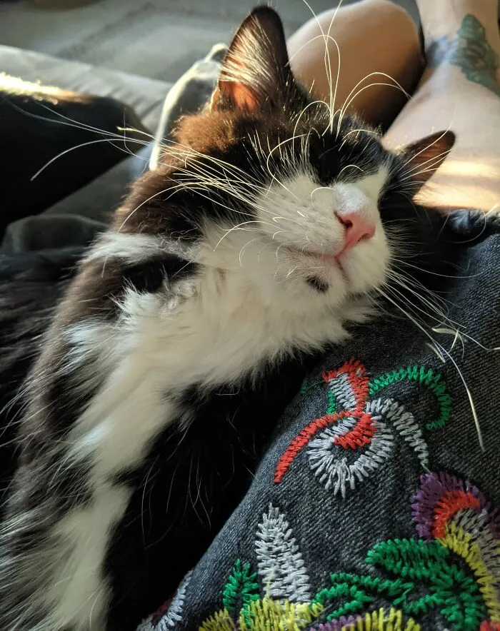 Awe!