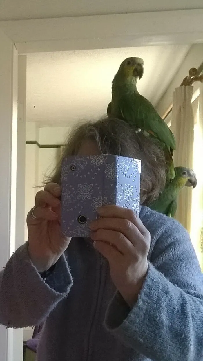 Two Room Mates,  Very Noisy Ones That Bite Me Sometimes.