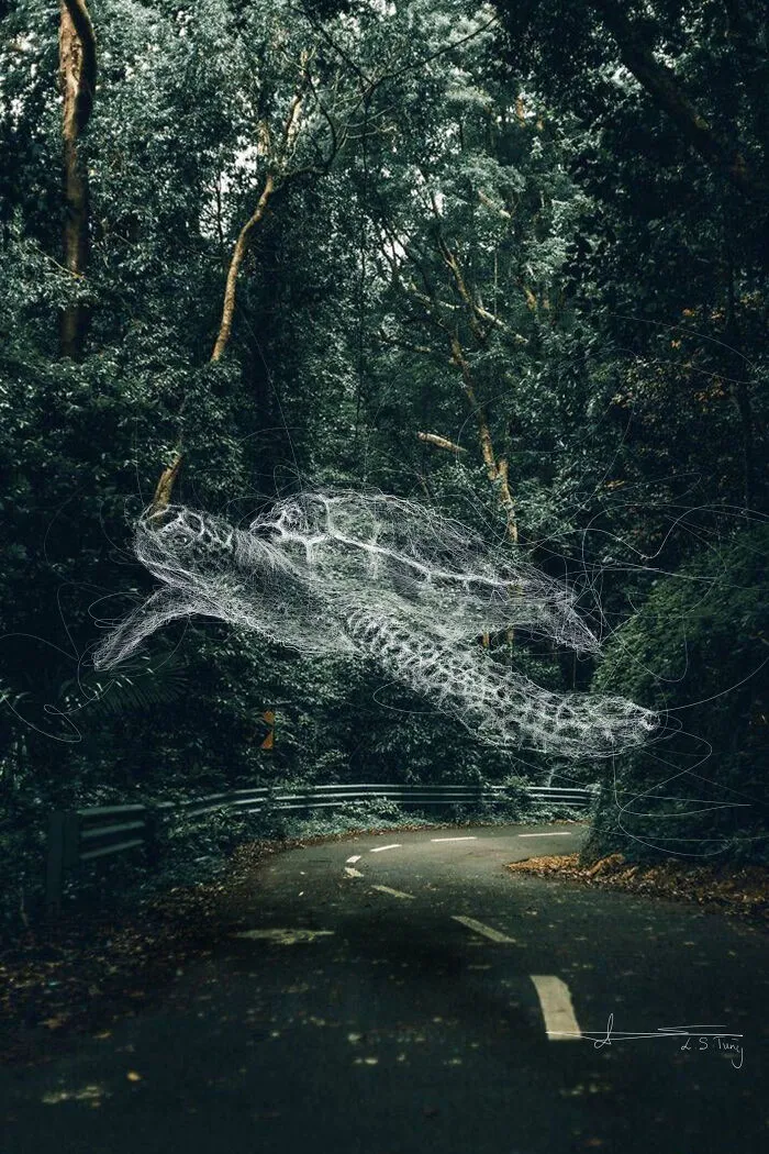 My Illustrations Of Animals And Cute Things In The Forest