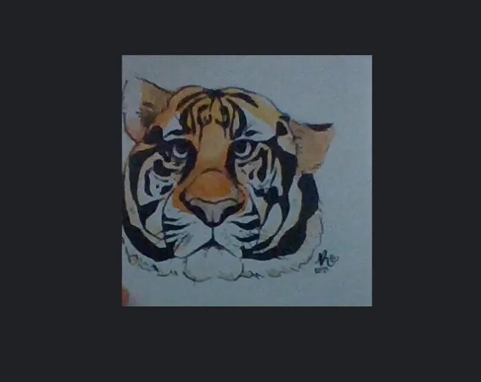 Big Cat