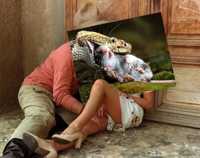 Here Are 50 Crazy Photo Collages By Turkish Artist