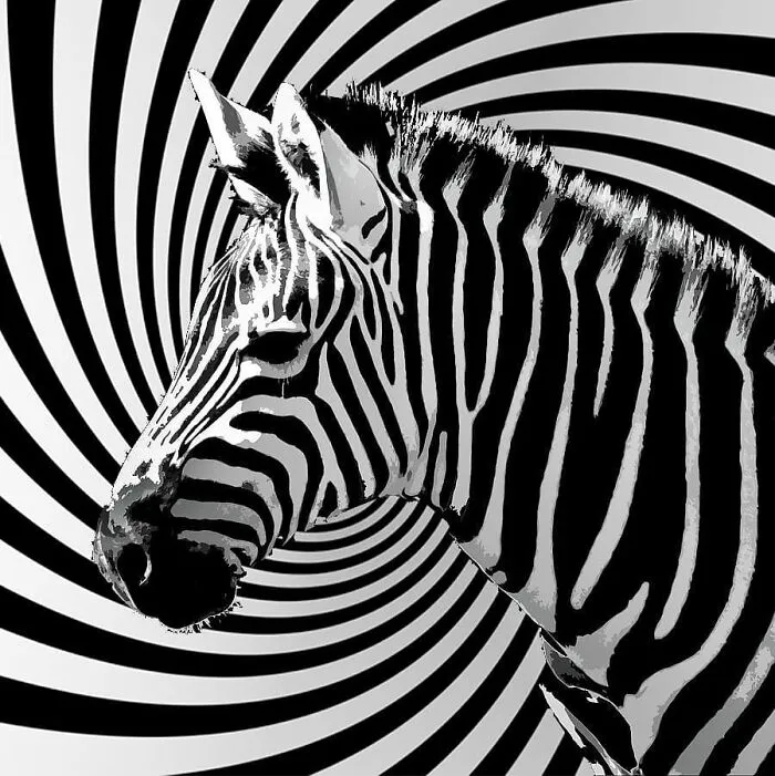 Here Are 50 Crazy Photo Collages By Turkish Artist