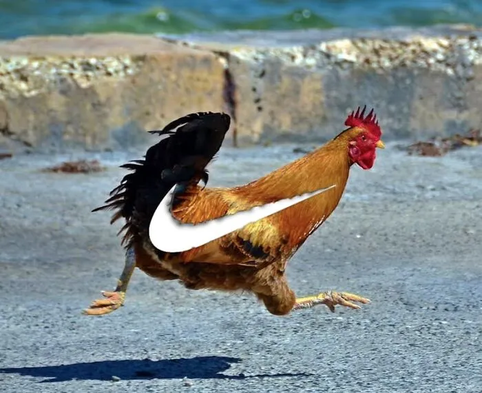 Here Are 50 Crazy Photo Collages By Turkish Artist