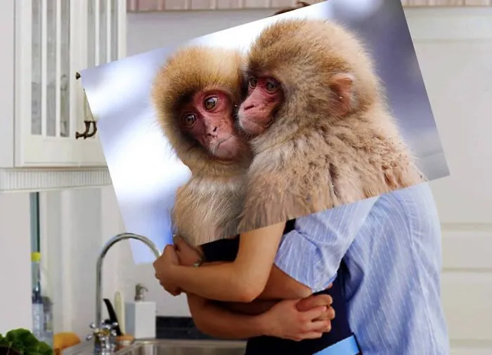 Here Are 50 Crazy Photo Collages By Turkish Artist