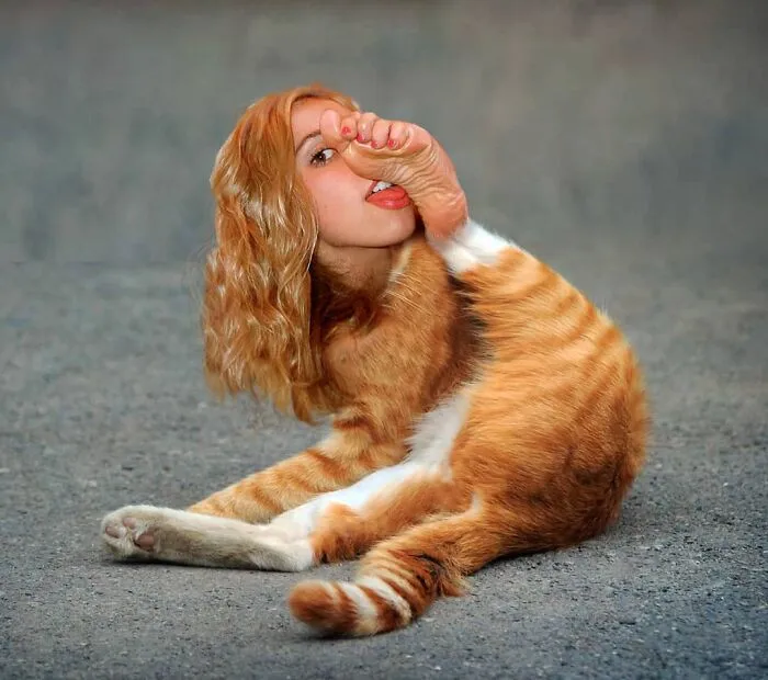 Here Are 50 Crazy Photo Collages By Turkish Artist