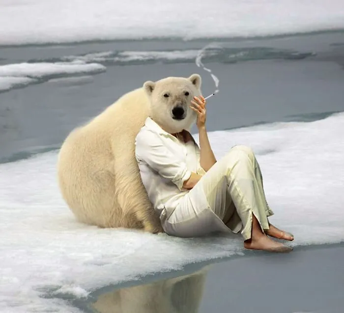 Here Are 50 Crazy Photo Collages By Turkish Artist