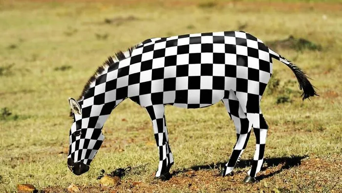 Here Are 50 Crazy Photo Collages By Turkish Artist