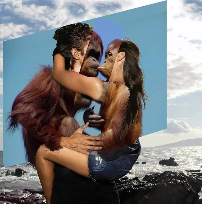 Here Are 50 Crazy Photo Collages By Turkish Artist