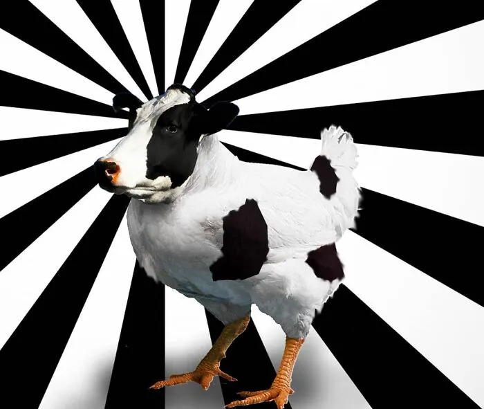 Here Are 50 Crazy Photo Collages By Turkish Artist