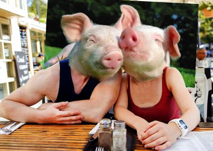 Here Are 50 Crazy Photo Collages By Turkish Artist