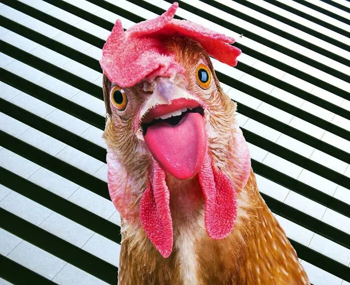 Here Are 50 Crazy Photo Collages By Turkish Artist