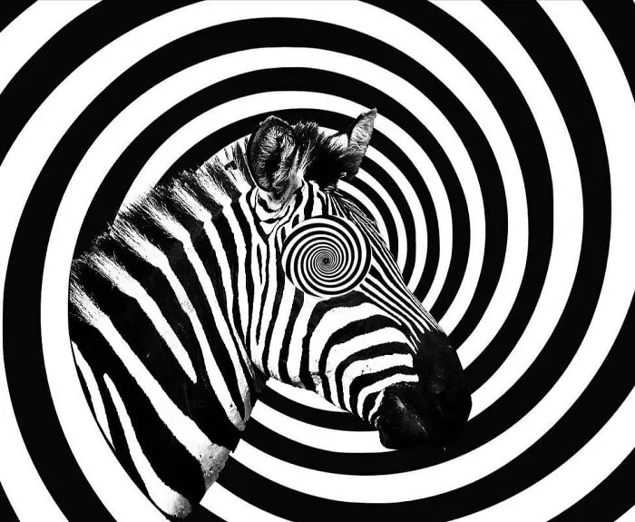 Here Are 50 Crazy Photo Collages By Turkish Artist
