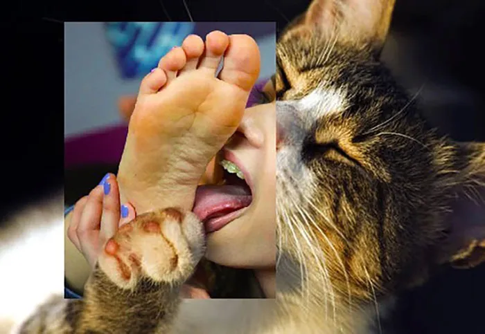 Here Are 50 Crazy Photo Collages By Turkish Artist
