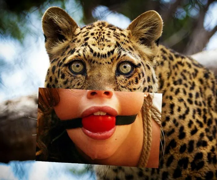 Here Are 50 Crazy Photo Collages By Turkish Artist