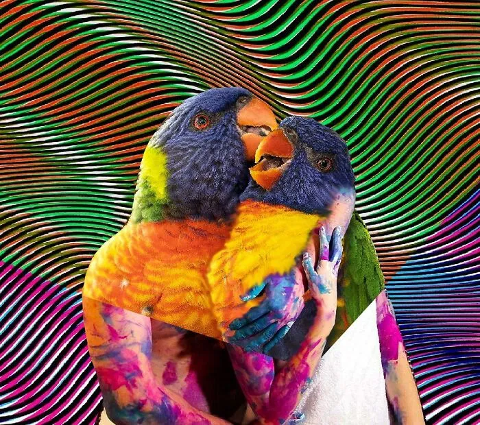 Here Are 50 Crazy Photo Collages By Turkish Artist