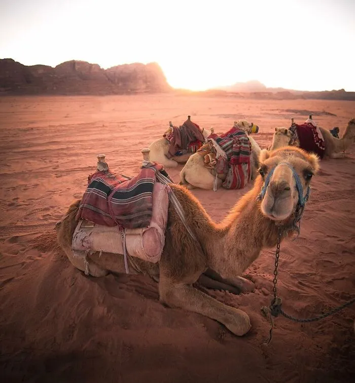 This Photographer Is Traveling The World With His Camera, Here Are 30 Of His Most Beautiful Pictures