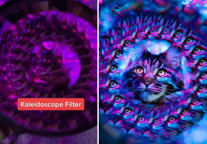 I Took These 29 Photos With Household Items Using Simple Hacks, And I Show You How I Do It