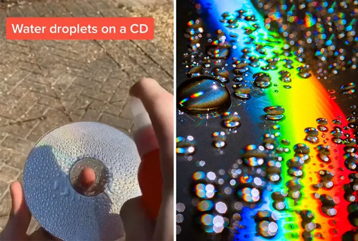 I Took These 29 Photos With Household Items Using Simple Hacks, And I Show You How I Do It