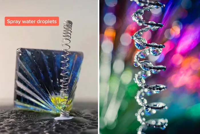 I Took These 29 Photos With Household Items Using Simple Hacks, And I Show You How I Do It