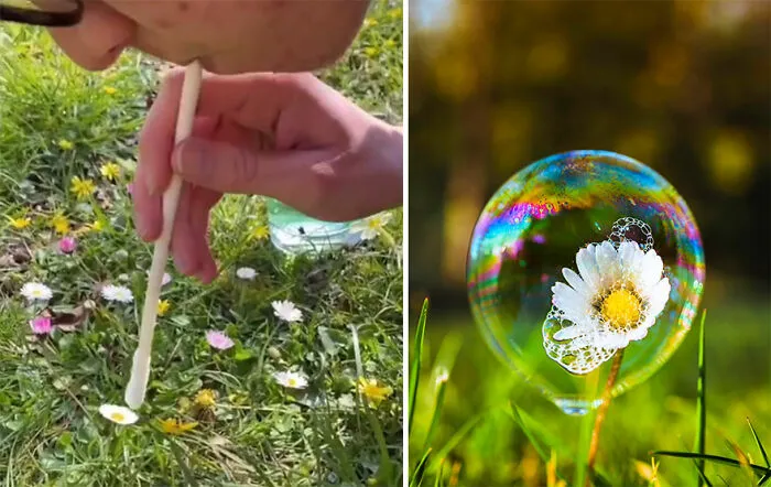 I Took These 29 Photos With Household Items Using Simple Hacks, And I Show You How I Do It