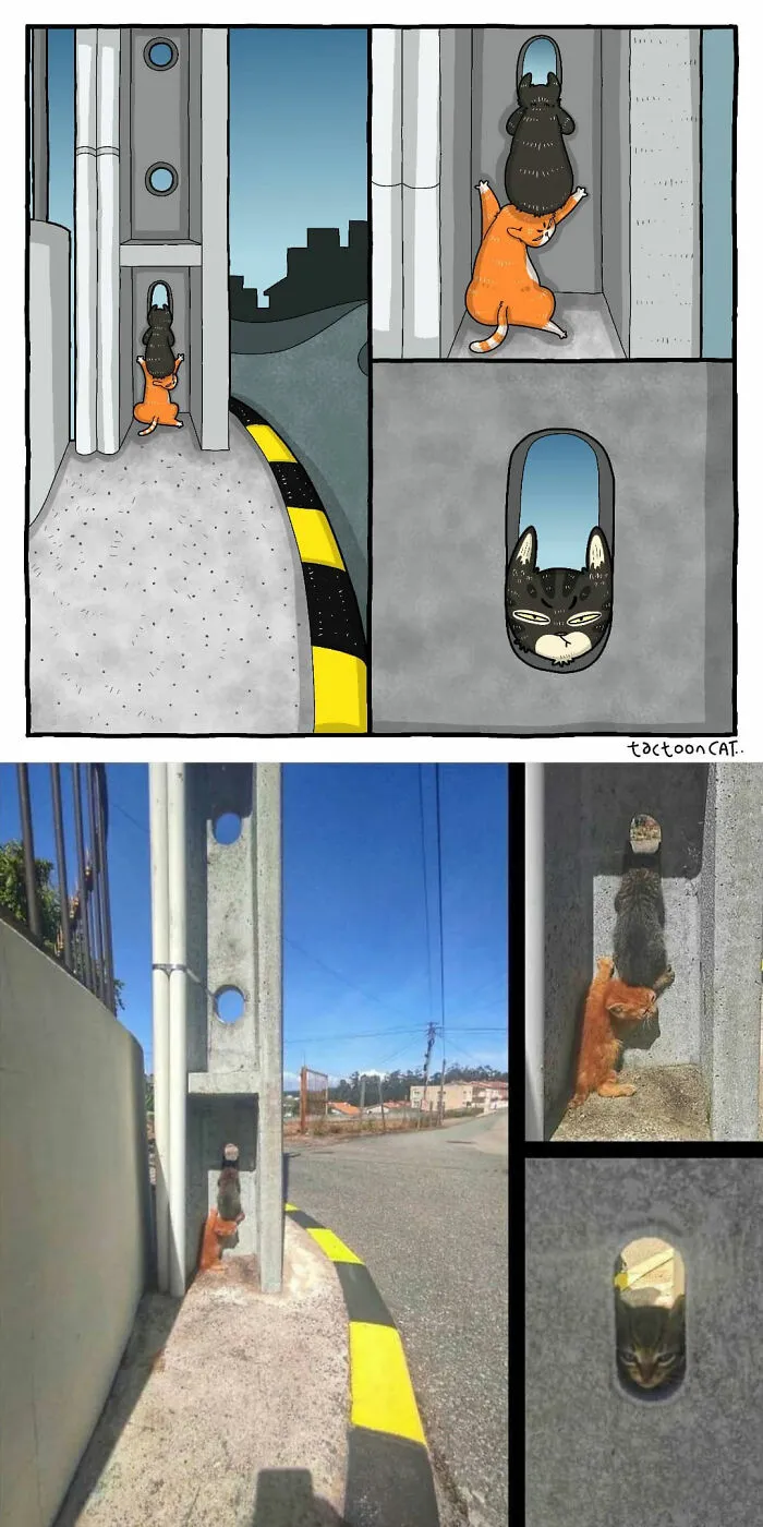 40 de las fotos de gatos más divertidas de Internet son ilustradas por Tactooncat (nuevas fotos)