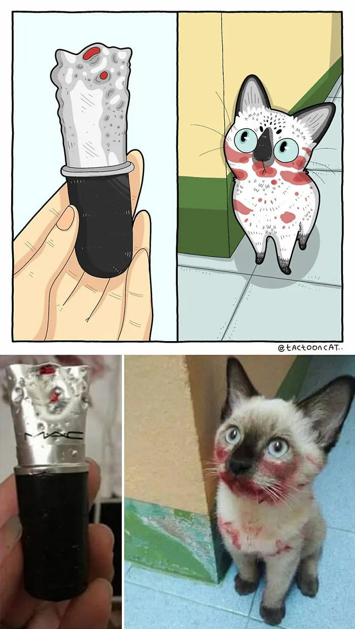 40 de las fotos de gatos más divertidas de Internet son ilustradas por Tactooncat (nuevas fotos)