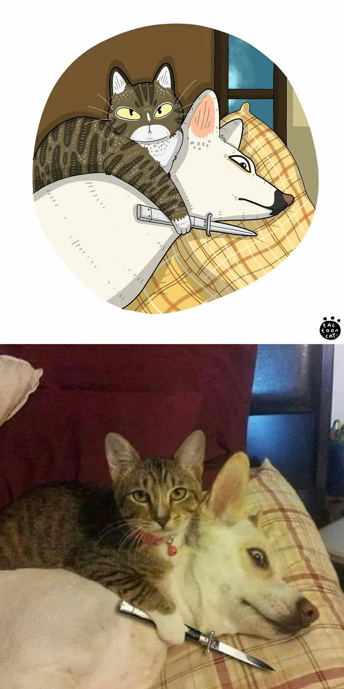40 de las fotos de gatos más divertidas de Internet son ilustradas por Tactooncat (nuevas fotos)