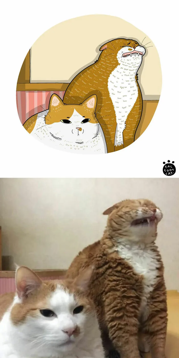 40 Of The Funniest Internet-Famous Cat Pics Get Illustrated By Tactooncat (New Pics)