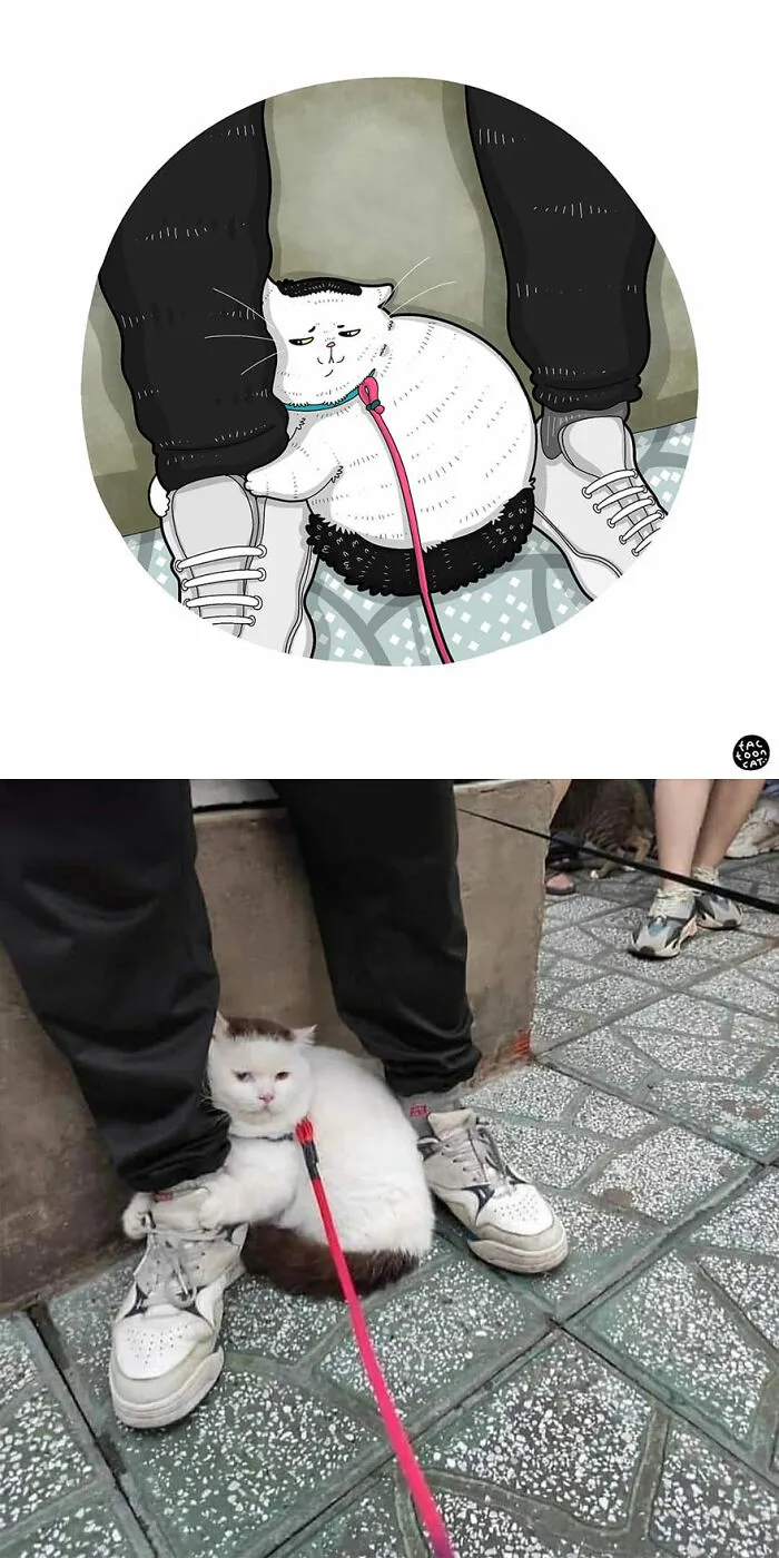 40 de las fotos de gatos más divertidas de Internet son ilustradas por Tactooncat (nuevas fotos)