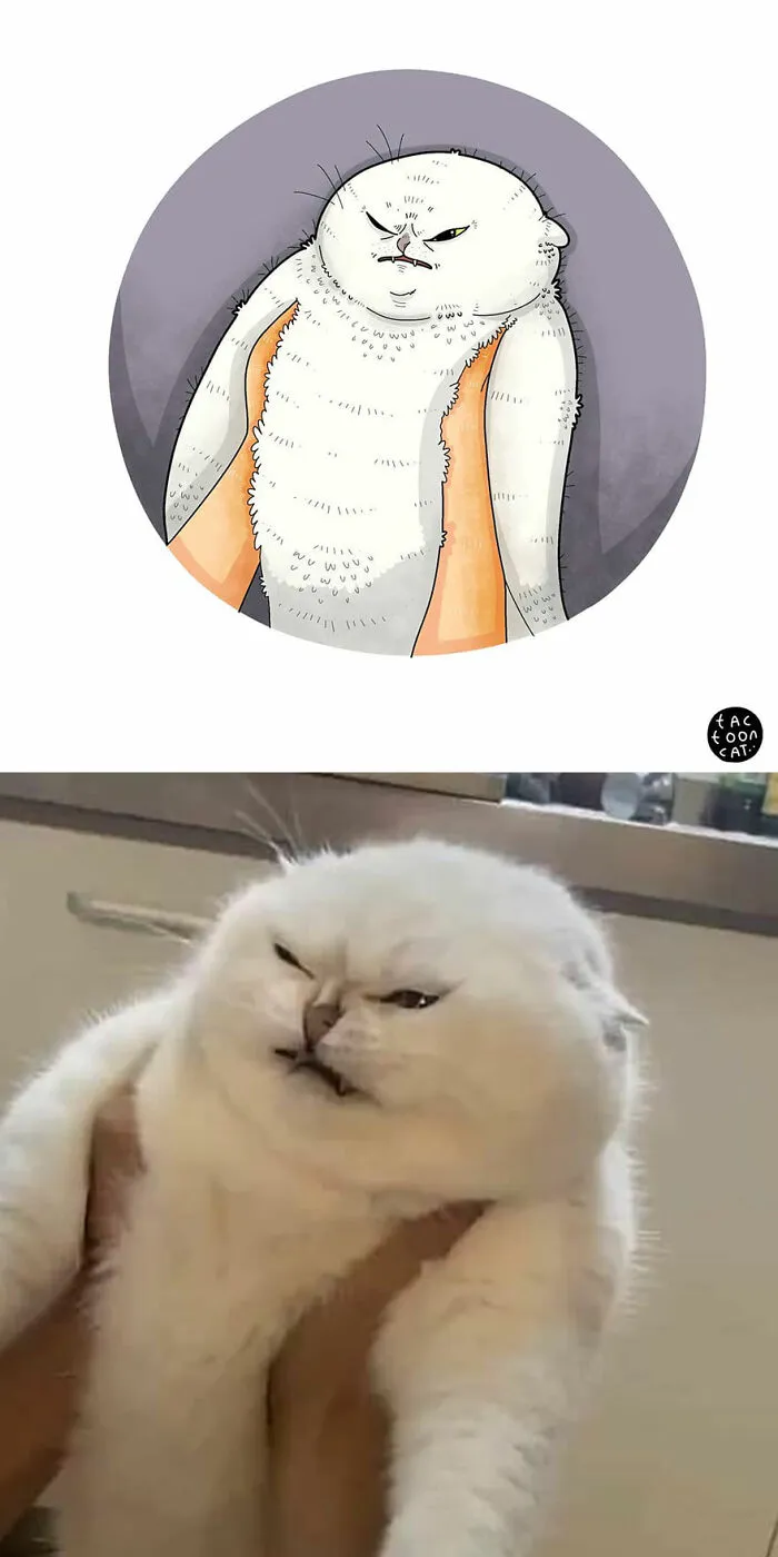 40 de las fotos de gatos más divertidas de Internet son ilustradas por Tactooncat (nuevas fotos)
