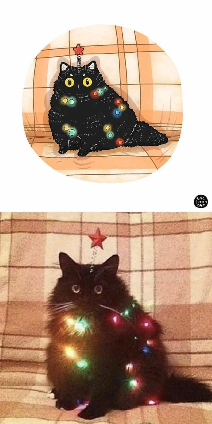 40 de las fotos de gatos más divertidas de Internet son ilustradas por Tactooncat (nuevas fotos)