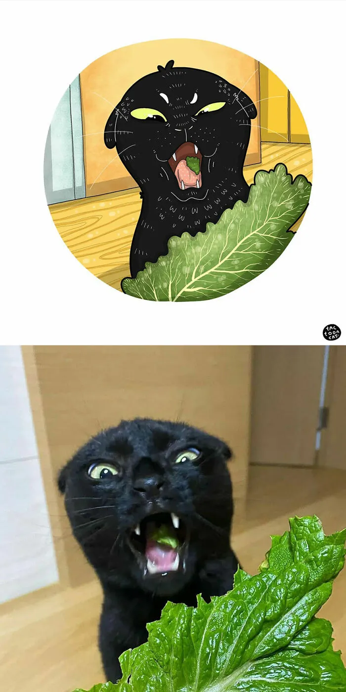 40 Of The Funniest Internet-Famous Cat Pics Get Illustrated By Tactooncat (New Pics)