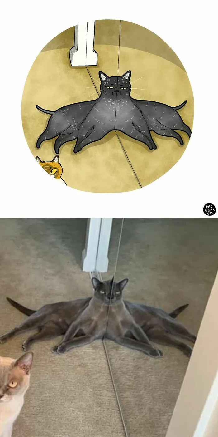 40 de las fotos de gatos más divertidas de Internet son ilustradas por Tactooncat (nuevas fotos)
