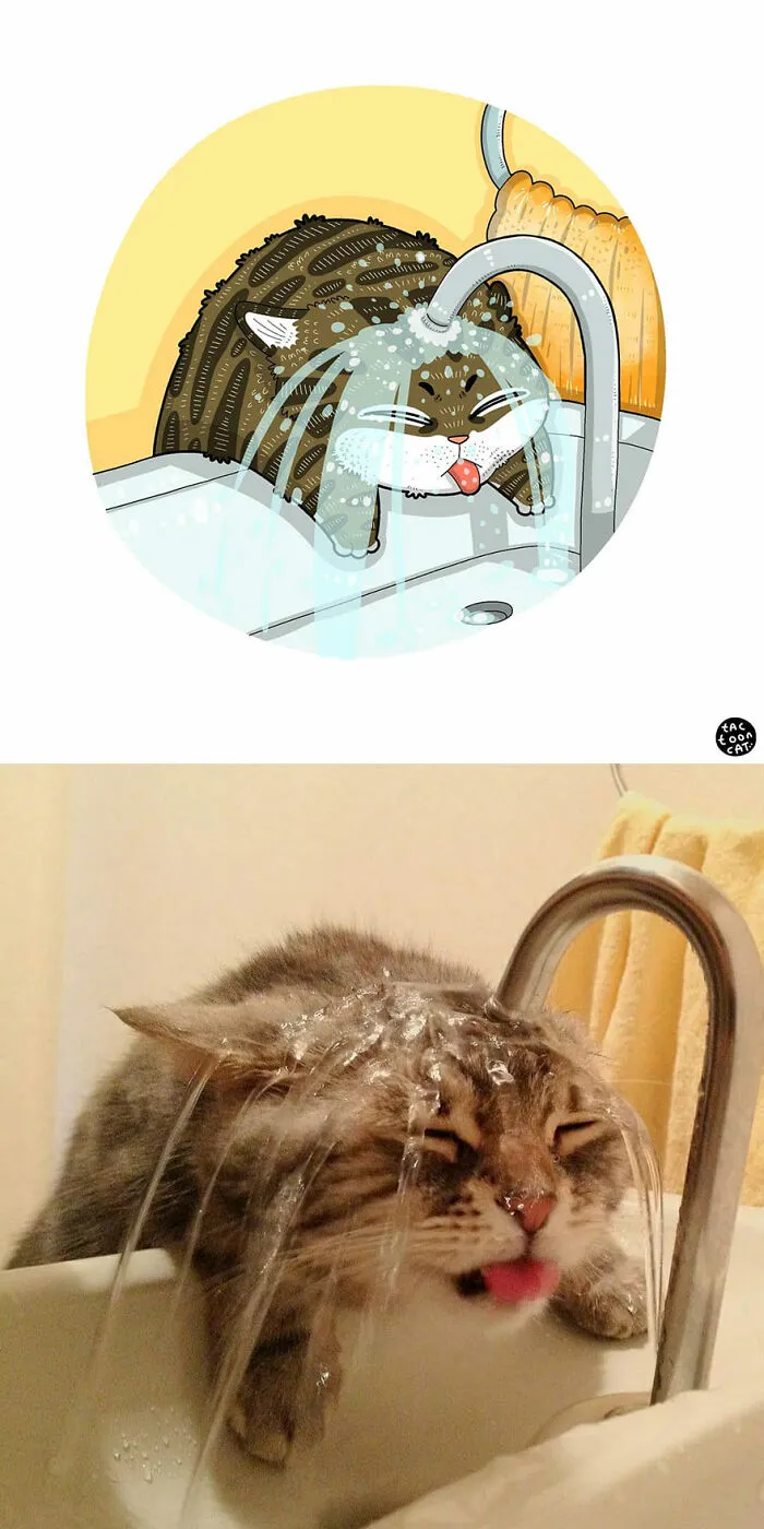 40 de las fotos de gatos más divertidas de Internet son ilustradas por Tactooncat (nuevas fotos)