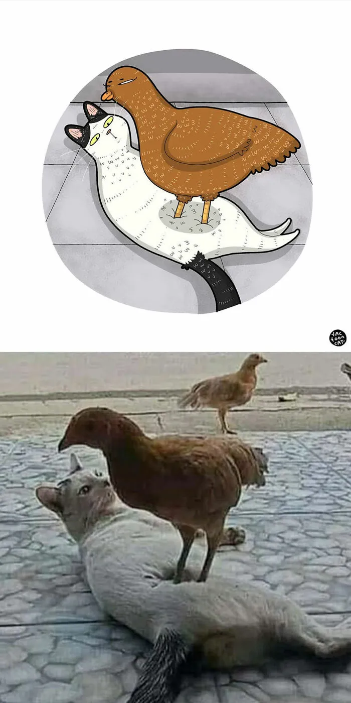 40 Of The Funniest Internet-Famous Cat Pics Get Illustrated By Tactooncat (New Pics)