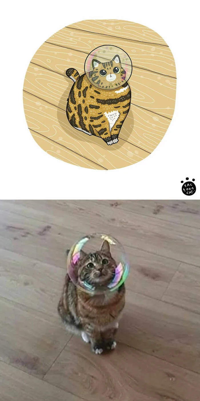 40 Of The Funniest Internet-Famous Cat Pics Get Illustrated By Tactooncat (New Pics)