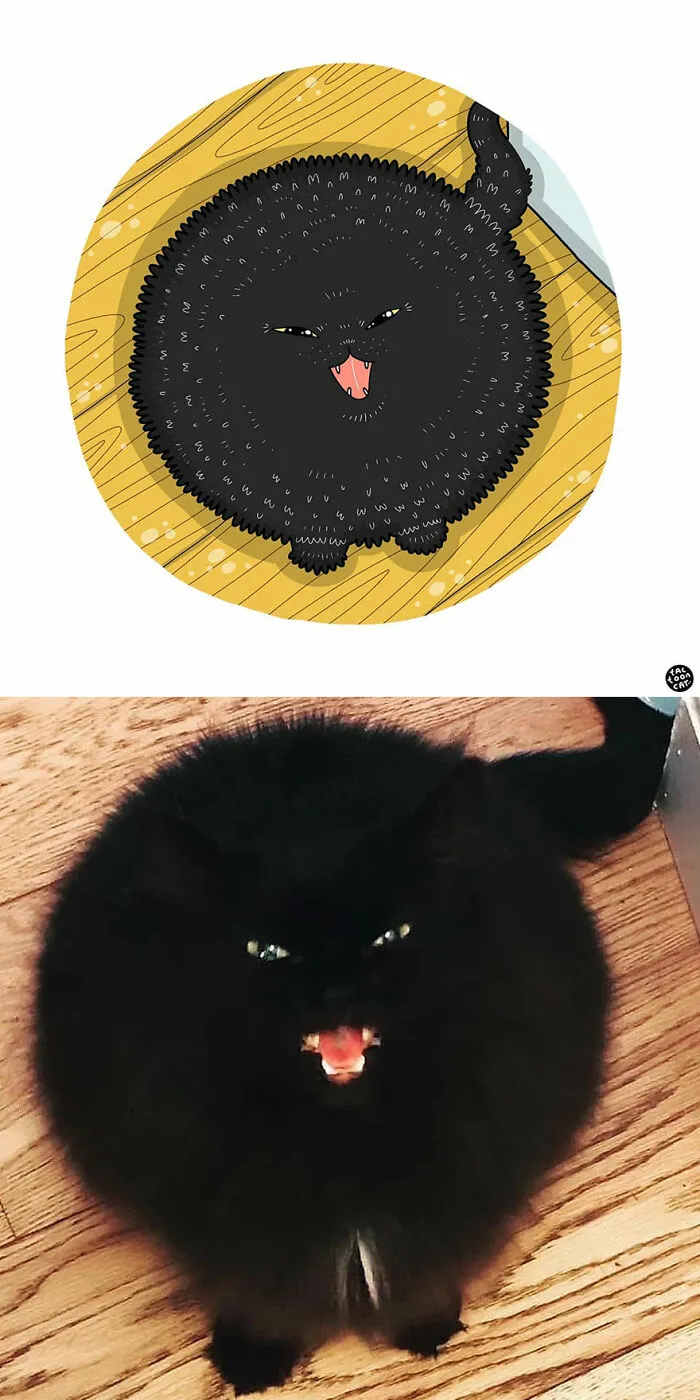 40 de las fotos de gatos más divertidas de Internet son ilustradas por Tactooncat (nuevas fotos)