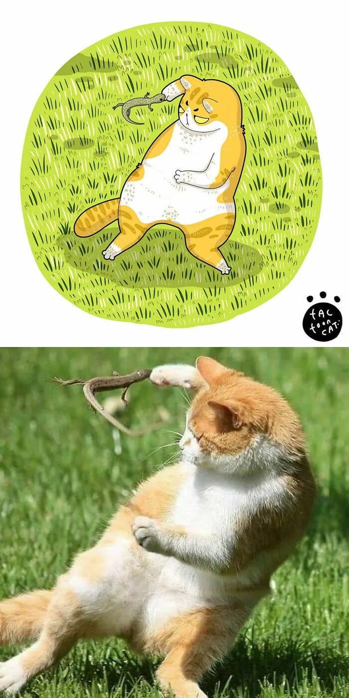 40 Of The Funniest Internet-Famous Cat Pics Get Illustrated By Tactooncat (New Pics)